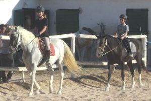 Pferde auf einem spanischen Reiterhof